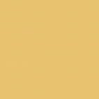 peinture professionnelle blanc mat résine alkyde ECRAN 77