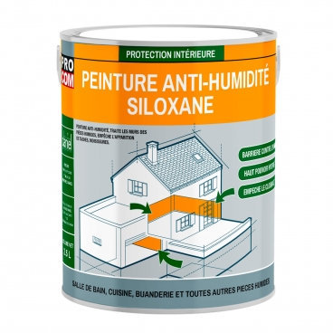 Peinture anti humidit&eacute;