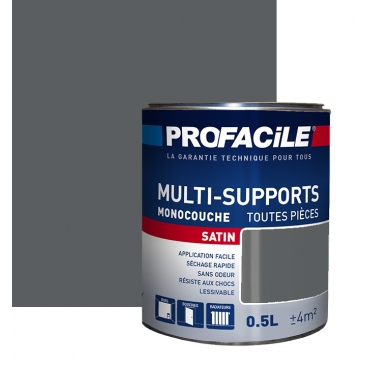 Peinture intérieure multi-supports, PROFACILE