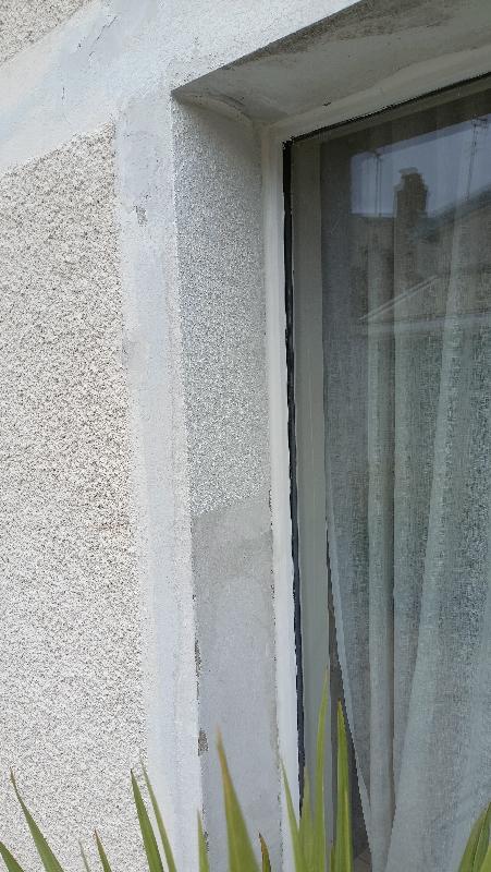 Rouleau crépi, enduit pour façade rugueuse, DEXTER, l.220 mm